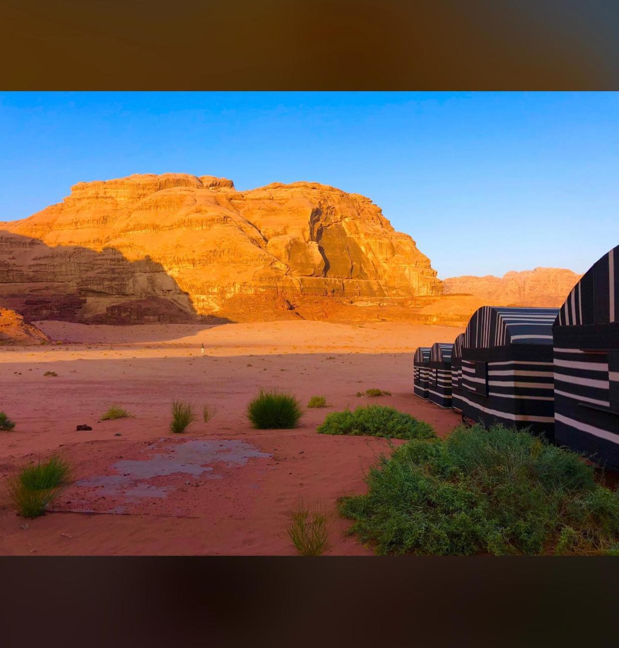Bedouin Holidays Camp And Jeep Tours Wadi Rum Ngoại thất bức ảnh